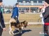 1149img_8662_02_07_2016