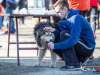 1153img_8684_02_07_2016