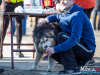 1153img_8686_02_07_2016