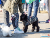 1154img_8694_02_07_2016