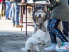 1154img_8698_02_07_2016