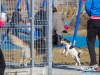 1207img_8743_02_07_2016
