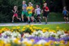 IMG_18401203