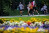 IMG_18451203