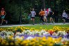 IMG_18461203