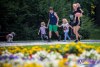 IMG_18831203