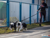 1104img_4453