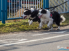 1104img_4454