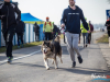 1104img_4491