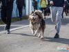 1104img_4492