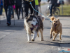 1104img_4499