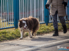 1107img_4522