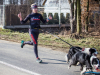 1155img_4588