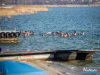 1205img_4624