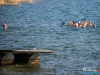 1207img_4631