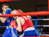 gala-boksu0029