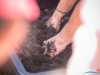 1013img_7761