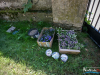 1019img_7780