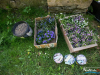 1027img_7799