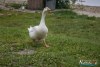 0919IMG_0364