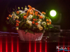 18img_9662_wynik