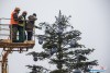 1118IMG_6522
