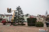 1119IMG_6524