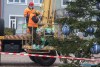 1122IMG_6525