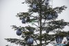 1123IMG_6526