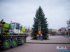 1110img_4655_11_29_2016