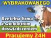 pourazowe3