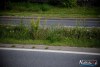 0931IMG_9449