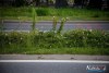 0931IMG_9450