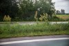 1313IMG_3375