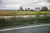 1313IMG_3377