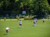 HMIMG_1626