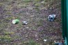 1221IMG_0060