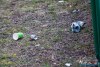 1222IMG_0062