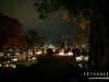 1945img_2258