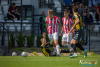 1427IMG_1811_wynik