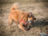 1303img_2348_wynik
