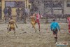 1434IMG_4446