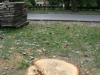 kopiadsc05072