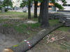 kopiadsc05078