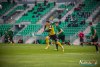 1745IMG_3195