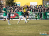 1512img_1647
