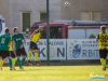1727img_9181