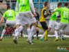 1239img_6103