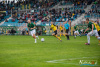 1652IMG_1233_wynik