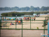 0944img_0373